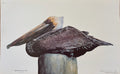 Brown Pelican Print from Nathalie Worthington Bird Collection